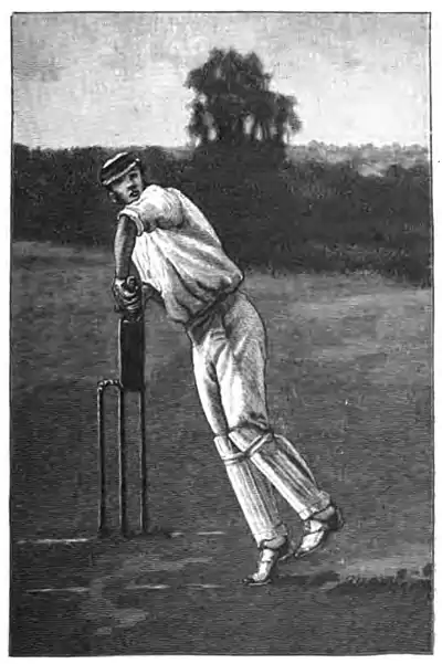 Cricket (Steel, Lyttelton) 0075.jpg