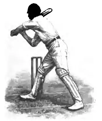 Cricket (Steel, Lyttelton) 0081.jpg