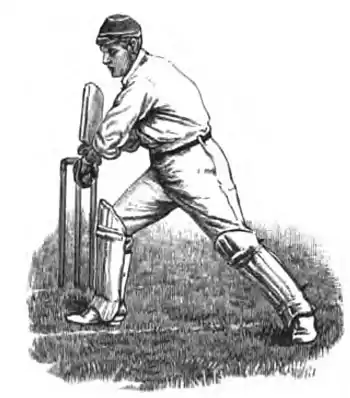 Cricket (Steel, Lyttelton) 0082.jpg