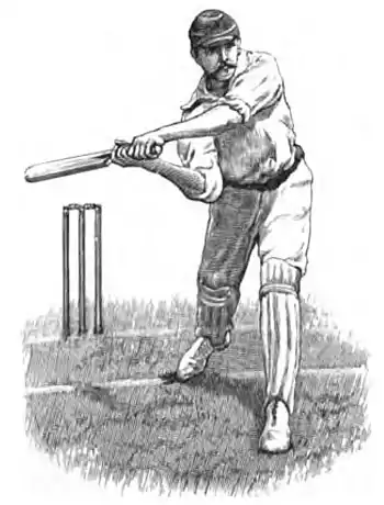 Cricket (Steel, Lyttelton) 0084.jpg