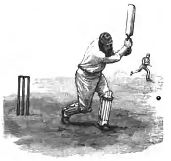 Cricket (Steel, Lyttelton) 0086.jpg