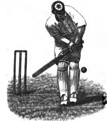 Cricket (Steel, Lyttelton) 0090.jpg