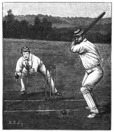 Cricket (Steel, Lyttelton) 0094.jpg