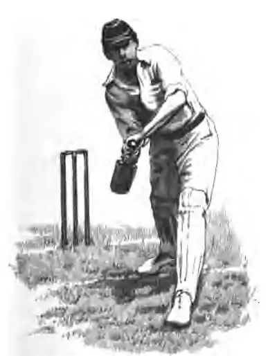 Cricket (Steel, Lyttelton) 0117.jpg