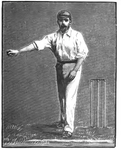 Cricket (Steel, Lyttelton) 0193.jpg