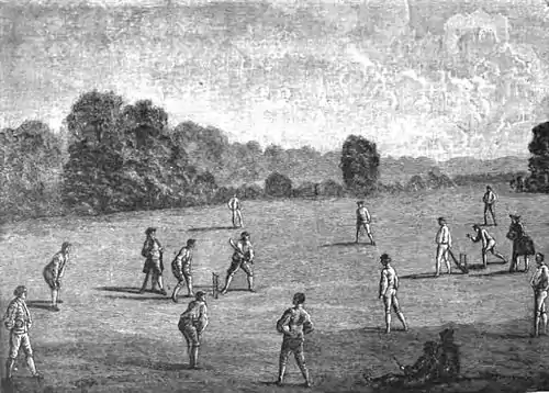 Cricket (Steel, Lyttelton) page 29.jpg