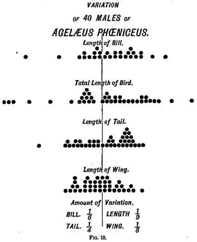 Fig 10.