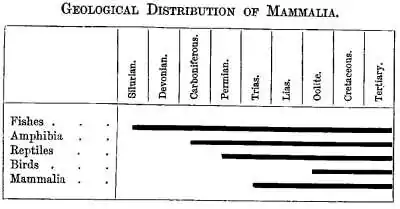 GEOLOGICAL DISTRIBUTION OF MAMMALIA.