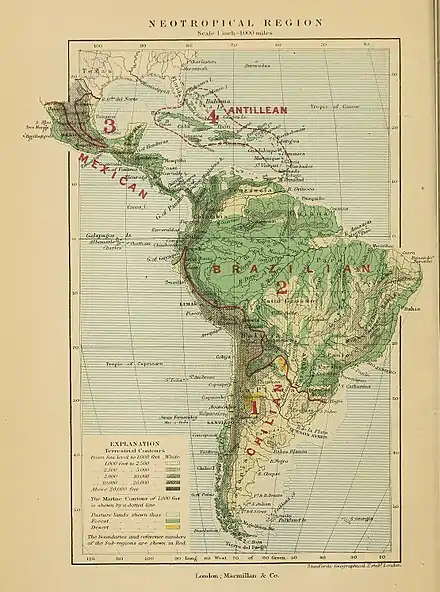 NEOTROPICAL REGION