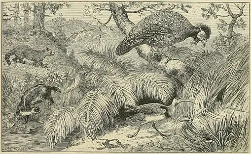 SCENE IN NEPAUL, WITH CHARACTERISTIC ANIMALS.