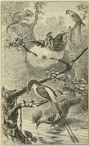 SCENE IN NEW GUINEA, WITH CHARACTERISTIC ANIMALS.