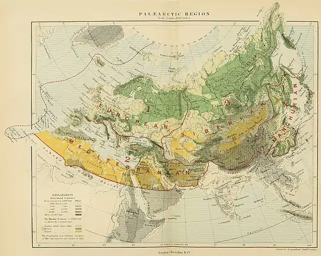 PALAEARCTIC REGION