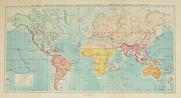 Zoogeographical Regions