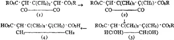 EB1911-Terpenes-10.png