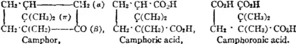 EB1911-Terpenes-12.png