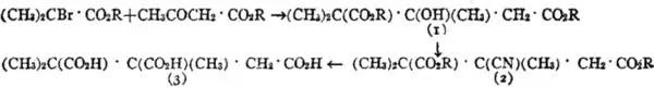 EB1911-Terpenes-14.png