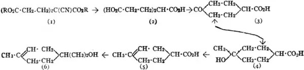 EB1911-Terpenes-4.png