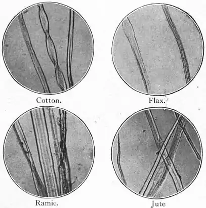 EB1911 - Fibres - Fig. 9.jpg