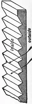 EB1911 - Glazing - Fig. 1.jpg