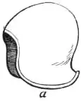 EB1911 - Helmet Fig. 7a.jpg