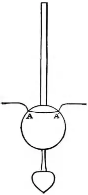 EB1911 - Hydrometer Fig. 4—Surface tension.jpg