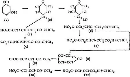 EB1911 Chemistry - dichlormaleic acid.jpg