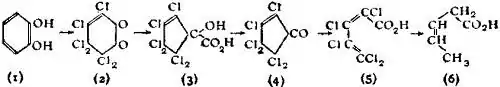 EB1911 Chemistry - ethidine propionic acid.jpg