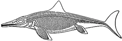 EB1911 Ichthyosaurus.jpg