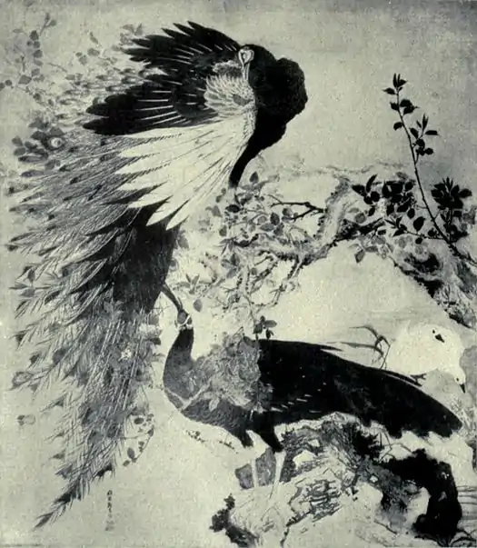 EB1911 Japan - Peacocks.jpg