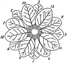 EB1911 Leaf - Cycle of thirteen leaves.jpg