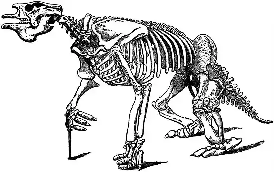 EB1911 Megatherium - Skeleton.jpg