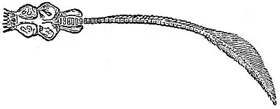 EB1911 Palaeospondylus.jpg