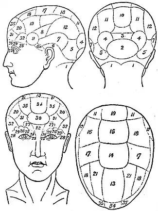 EB1911 Phrenology.jpg