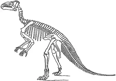 EB1911 Reptiles - Iguanodon bernissartensis.jpg