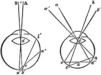 EB1911 Vision - Purkinje's Figures.jpg