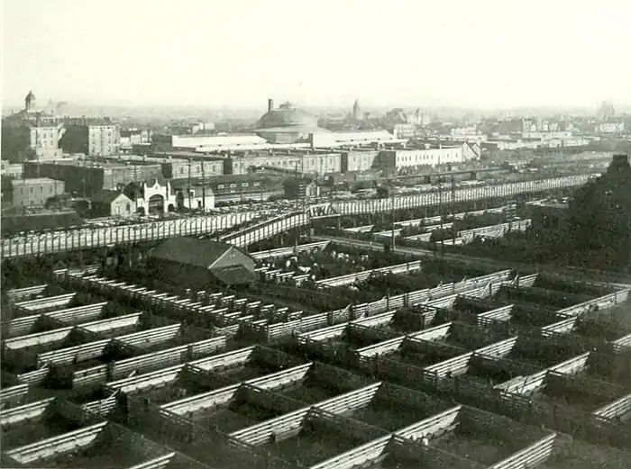 NIE 1905 Chicago - stockyards.jpg