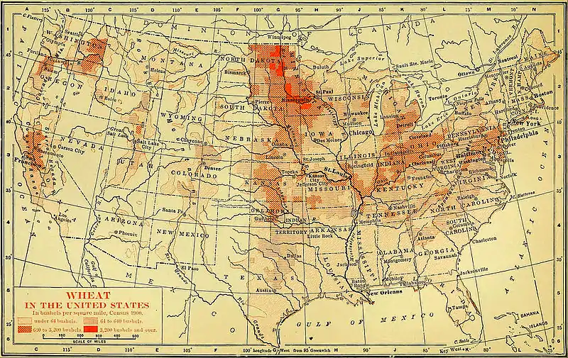 NIE 1905 United States - Wheat.jpg