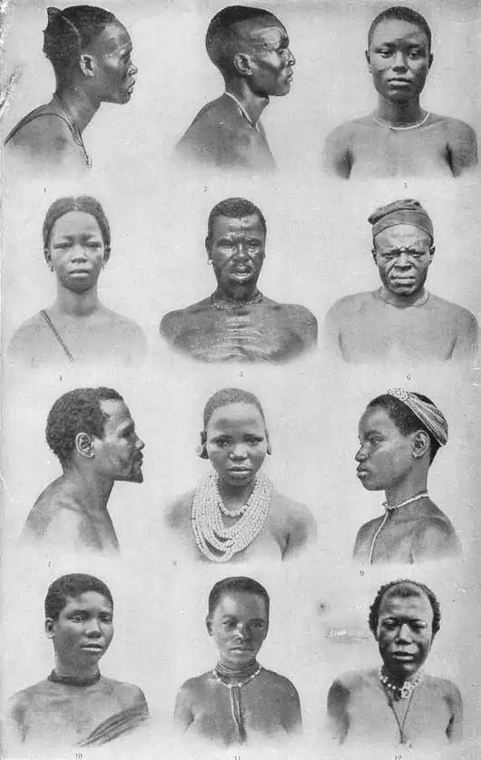 NSRW Natives of Africa Plate 1.png