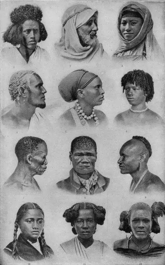 NSRW Natives of Africa Plate 2.png