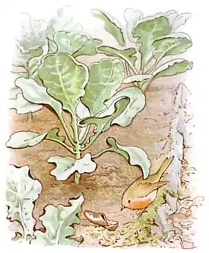 PeterRabbit12.jpg