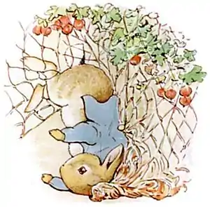 PeterRabbit13.jpg