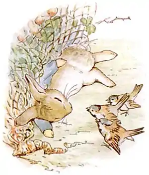 PeterRabbit14.jpg