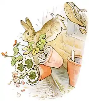 PeterRabbit18.jpg