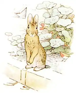 PeterRabbit19.jpg