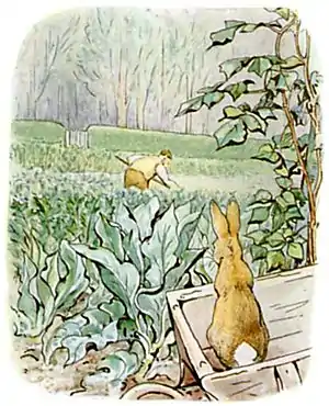 PeterRabbit22.jpg