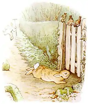 PeterRabbit23.jpg