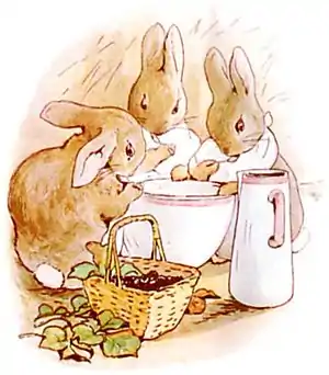 PeterRabbit27.jpg