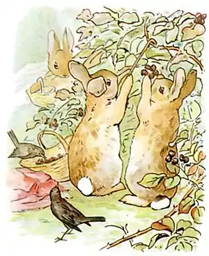 PeterRabbit6.jpg