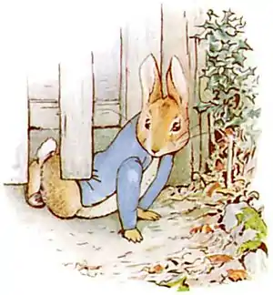 PeterRabbit7.jpg