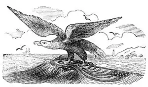 Poems of the Sea, 1850 - Eagle.jpg